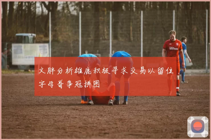 文胖分析雄鹿积极寻求交易以留住字母哥争冠拼图