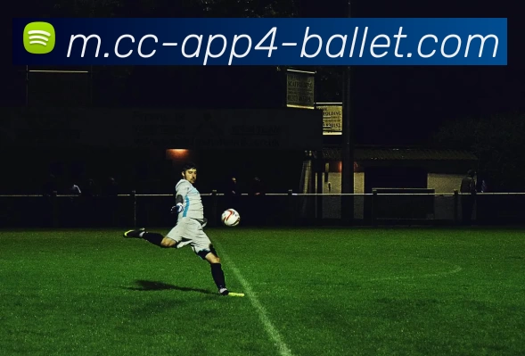 体育赛事